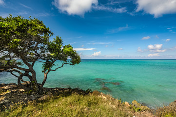 Fototapeta premium Ocean view