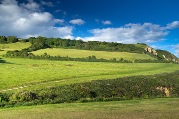 Fototapeta na wymiar Devon's landscape. Green hill and blue sky. Good peaceful weather. Devonshire. UK
