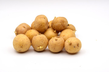 Sprouted Potatoes on a Seamless White Background