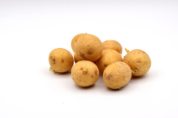 Sprouted Potatoes on a Seamless White Background