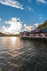 Fototapeta premium Barents Sea in Finnmark, Norway