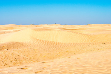 Fototapeta na wymiar Desert activities in Tunisia