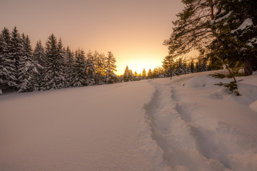 Winter snowy landscape