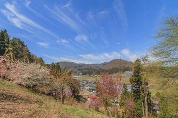 春の長谷堂城址からみた風景