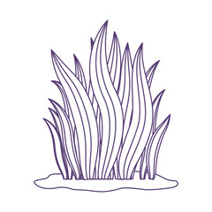 bushes on land in purple contour over white background vector illustration