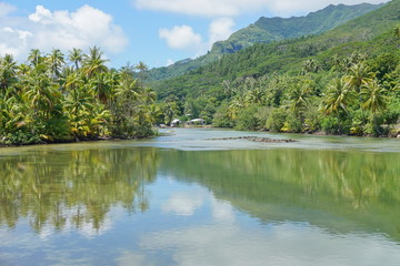 Fototapeta premium A channel with stone fish trap between the lake Fauna nui and the ocean, island of Huahine, South Pacific, French Polynesia