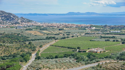 Fototapeta na wymiar Spain Costa Brava view over vineyards fields and olive groves with the Mediterranean sea and the city of Roses, Girona, Catalonia, Alt Emporda