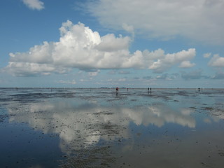 Cuxhaven Watt