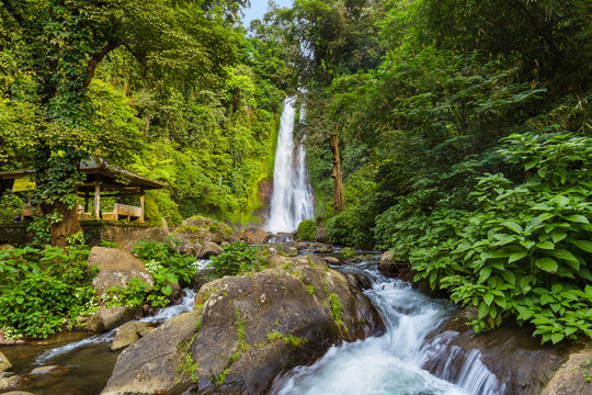 Fototapeta Gitgit Waterfall - Bali island Indonesia