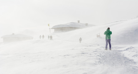 Fototapeta na wymiar Snowstorm in the mountains at winter time. Mountains of Trentino Alto Adige, South Tyrol