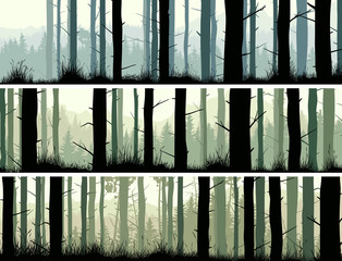 Horizontal banners pine trunks and gras of coniferous wood. © vertyr