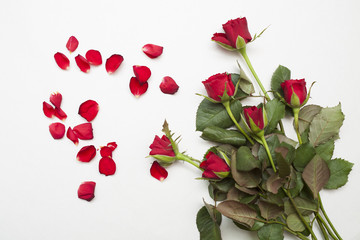 czerwone róże i płatki © qrrr