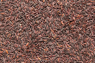 Riceberry Grain brown rice