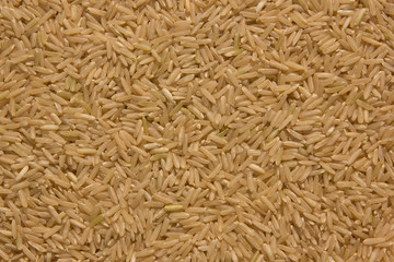Grain brown rice background