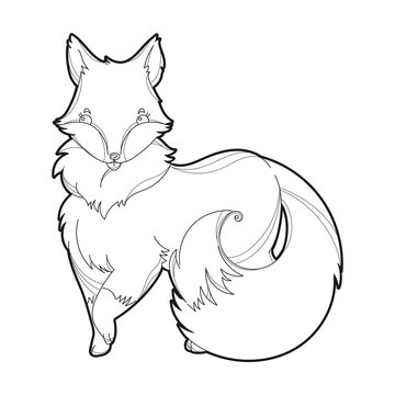 Vector image of a cute fox design isolated on a white background