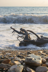 driftwood, washed up by the sea on a pebble beach, waves with foam
