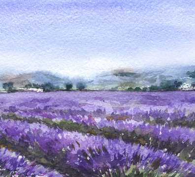 Nature Scene  with Lavender Field