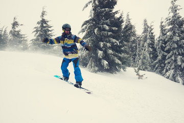 Snowboarder, rides downhill in a winter forest, in a hard conditions