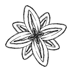 tropical flower icon