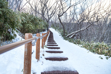 Walking trail at Jigokudani or Hell Valley, during winter