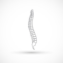 Spine health logo clinic medicine chiropractic backbone illustration