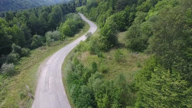 автогонка в горном лесу