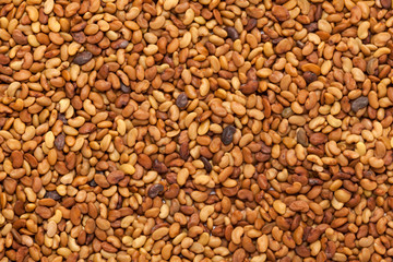 Fototapeta premium Organic Alfalfa seeds (Medicago sativa) in full frame background. Micro Closeup, Top view.