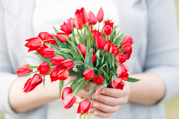 Spring bouquet of Red tulips in women's hands on the human background closeup
