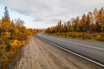 road on the Kola Peninsula/ road on the Kola peninsula in autumn, Murmansk region, Russia