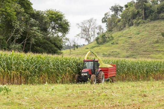 Agricultura