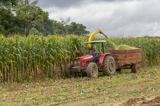 Agricultura