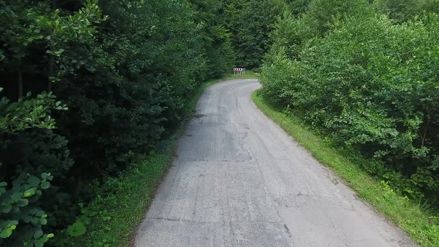 автогонка в горном лесу