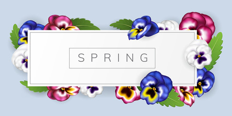 White spring frame with colorful pansy flower and leaf. Realistic vector illustration for spring and nature related design, horizontal banner