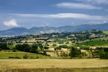 Obraz premium Landscape in Umbria at summer