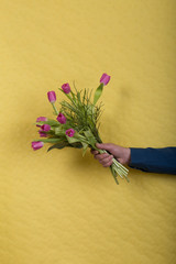 Blumenstraus mit Tulpen vor gelbem Hintergrund
