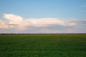 The movement of clouds in the spring in the steppe part of the Crimea peninsula at Cape Opuk.