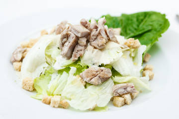 Fresh salad with tomatoes