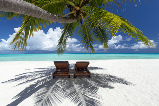 Two deck chairs under palm trees and tropical beach, The Maldives