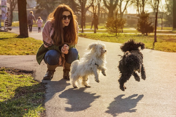 Young woman watching two puppies having fun in the park on a sunny day