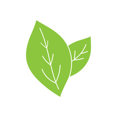 Green leaf eco