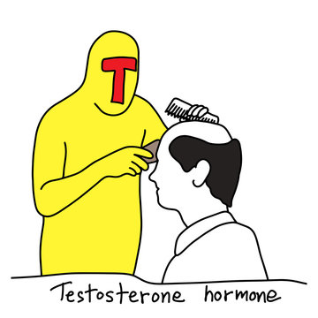 metaphor function of testosterone hormone is to make human bald vector illustration sketch hand drawn with black lines, isolated on white background. Education Medical concept.