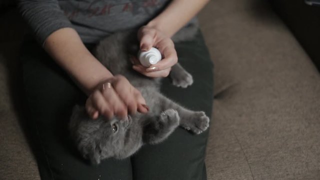 Woman sprays the affected areas of ringworm in a kitten
