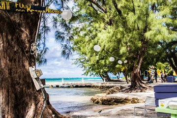 Photo sur Plexiglas Plage de Seven Mile, Grand Cayman Caribbean Beach Resort