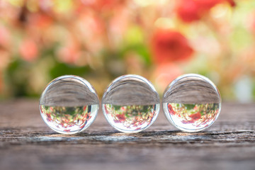 Crystal ball with reflection of red flowers on wood background