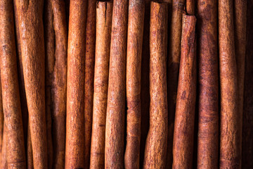 sticks of cinnamon, close-up