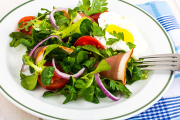 Fresh vegetable salad with ham and fried egg