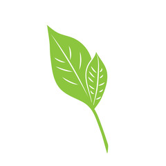 Green leaf eco