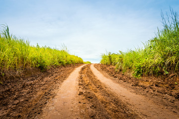 Rural road