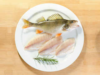 Kretzer Barsch Egli Bodensee