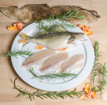 Kretzer Barsch Egli Bodensee Filet